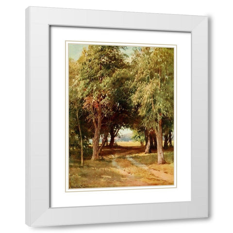 A Eucalyptus Grove-California 1914 White Modern Wood Framed Art Print with Double Matting by Palmer, Sutton