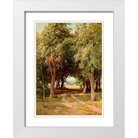 A Eucalyptus Grove-California 1914 White Modern Wood Framed Art Print with Double Matting by Palmer, Sutton