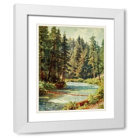 McCloud River-Sacramento Valley-California 1914 White Modern Wood Framed Art Print with Double Matting by Palmer, Sutton