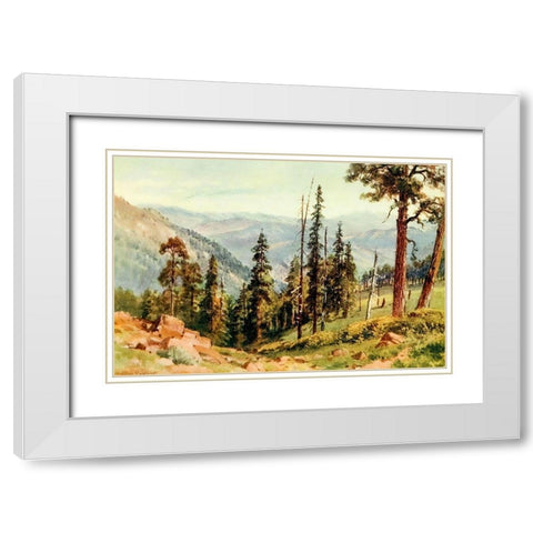 Redwoods of Great Twin Valleys-California 1914 White Modern Wood Framed Art Print with Double Matting by Palmer, Sutton
