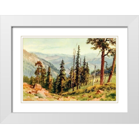Redwoods of Great Twin Valleys-California 1914 White Modern Wood Framed Art Print with Double Matting by Palmer, Sutton