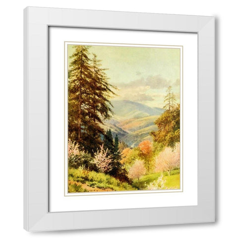 Santa Cruz mountain-the coast range-California 1914 White Modern Wood Framed Art Print with Double Matting by Palmer, Sutton