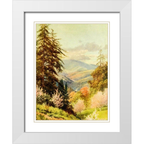 Santa Cruz mountain-the coast range-California 1914 White Modern Wood Framed Art Print with Double Matting by Palmer, Sutton