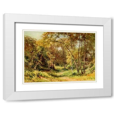 Tall Chaparral-Santa Cruz-California 1914 White Modern Wood Framed Art Print with Double Matting by Palmer, Sutton