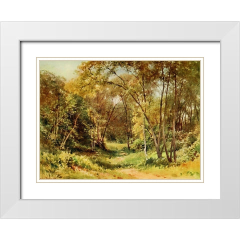 Tall Chaparral-Santa Cruz-California 1914 White Modern Wood Framed Art Print with Double Matting by Palmer, Sutton