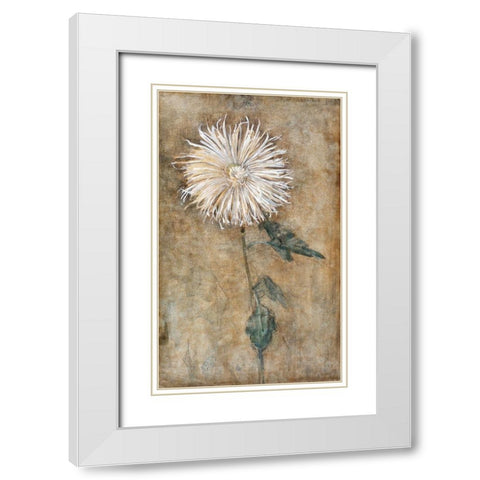 Chrysanthemum White Modern Wood Framed Art Print with Double Matting by Mondrian, Piet