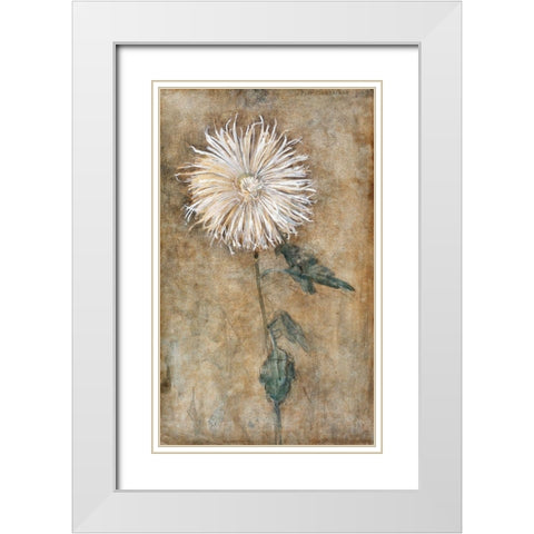 Chrysanthemum White Modern Wood Framed Art Print with Double Matting by Mondrian, Piet