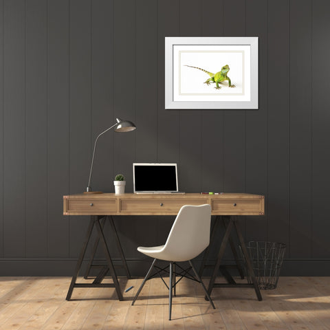 Asian Water Dragon White Modern Wood Framed Art Print with Double Matting by Brown, Skip