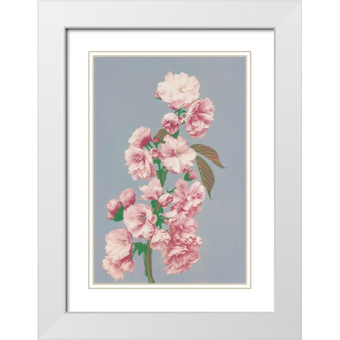 Cherry Blossom White Modern Wood Framed Art Print with Double Matting by Kazumasa, Ogawa