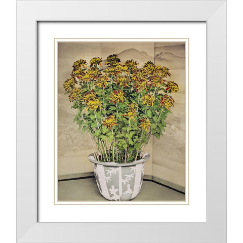Chrysanthemum White Modern Wood Framed Art Print with Double Matting by Kazumasa, Ogawa