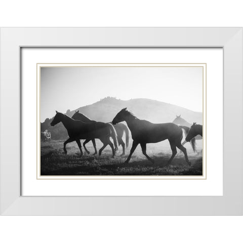 Horses head for the Corral-Riverside-Wyoming White Modern Wood Framed Art Print with Double Matting by Highsmith, Carol