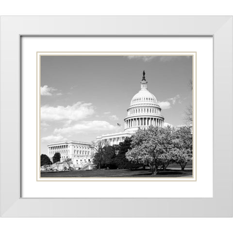 Capitol Hill Washington D.C. in cherry blossom season White Modern Wood Framed Art Print with Double Matting by Highsmith, Carol