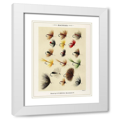 Hackles from Favorite Flies and Their Histories White Modern Wood Framed Art Print with Double Matting by Marbury, Mary Orvis