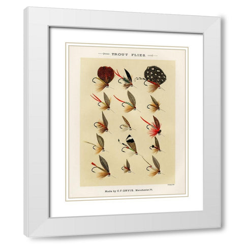 Trout Fishing Flies III from Favorite Flies and Their Histories White Modern Wood Framed Art Print with Double Matting by Marbury, Mary Orvis