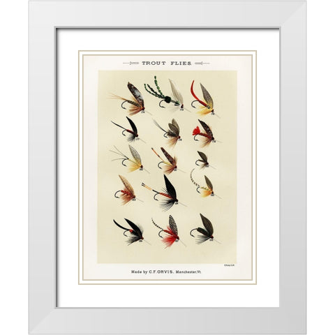 Trout Fishing Flies V from Favorite Flies and Their Histories White Modern Wood Framed Art Print with Double Matting by Marbury, Mary Orvis
