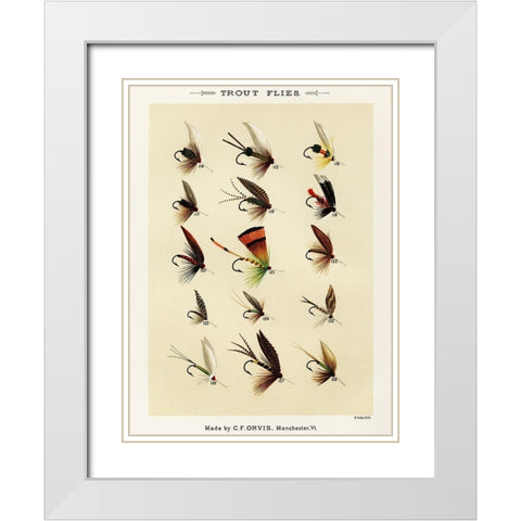 Trout Fishing Flies VIII from Favorite Flies and Their Histories White Modern Wood Framed Art Print with Double Matting by Marbury, Mary Orvis