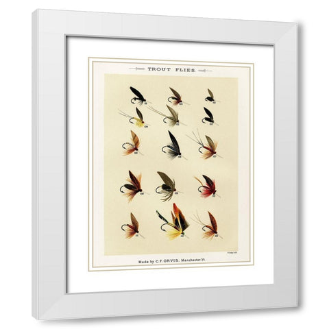 Trout Fishing Flies X from Favorite Flies and Their Histories White Modern Wood Framed Art Print with Double Matting by Marbury, Mary Orvis