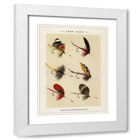 Lake Fishing Flies VIII from Favorite Flies and Their Histories White Modern Wood Framed Art Print with Double Matting by Marbury, Mary Orvis