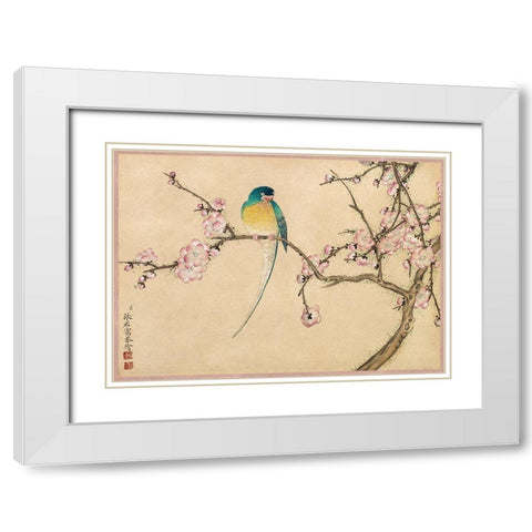 Bird with Plum Blossoms White Modern Wood Framed Art Print with Double Matting by Ruoai, Zhang