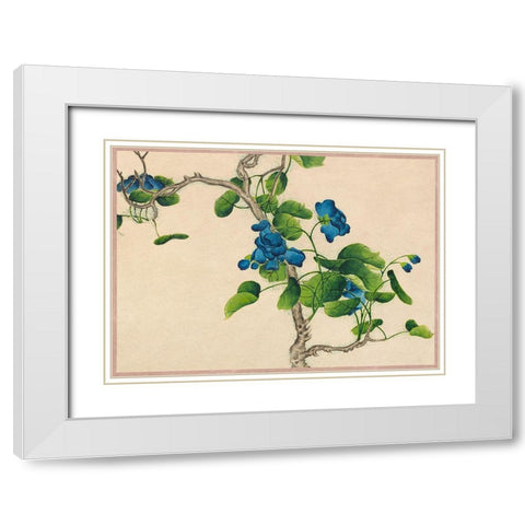Climbing Blue Flowers  White Modern Wood Framed Art Print with Double Matting by Ruoai, Zhang