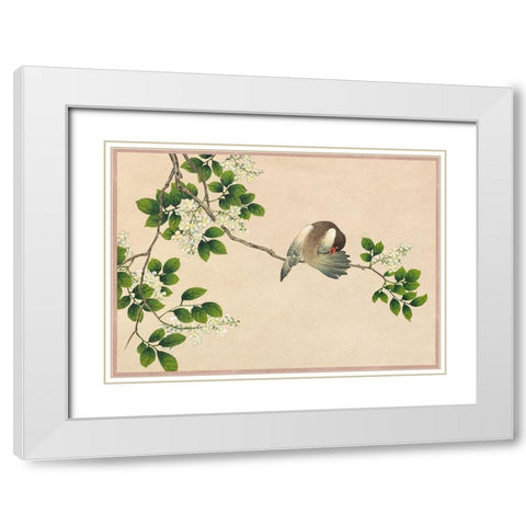 Preening Bird White Modern Wood Framed Art Print with Double Matting by Ruoai, Zhang