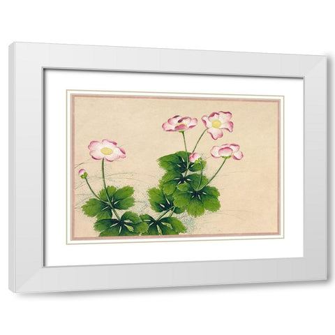 Mallow flowers White Modern Wood Framed Art Print with Double Matting by Ruoai, Zhang