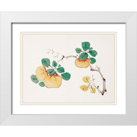 Page from Shi Zhu Zhai Orange Fruit White Modern Wood Framed Art Print with Double Matting by Zhengyan, Hu