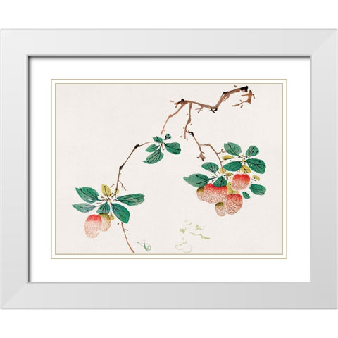 Page from Shi Zhu Zhai Red Fruit White Modern Wood Framed Art Print with Double Matting by Zhengyan, Hu