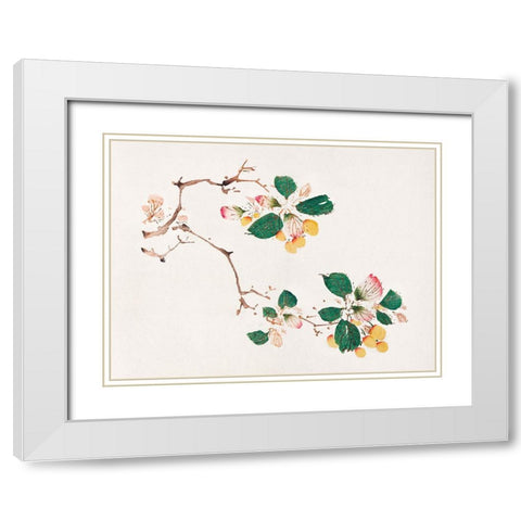 Page from Shi Zhu Zhai Golden Fruit White Modern Wood Framed Art Print with Double Matting by Zhengyan, Hu