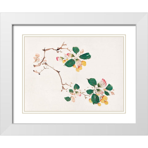 Page from Shi Zhu Zhai Golden Fruit White Modern Wood Framed Art Print with Double Matting by Zhengyan, Hu