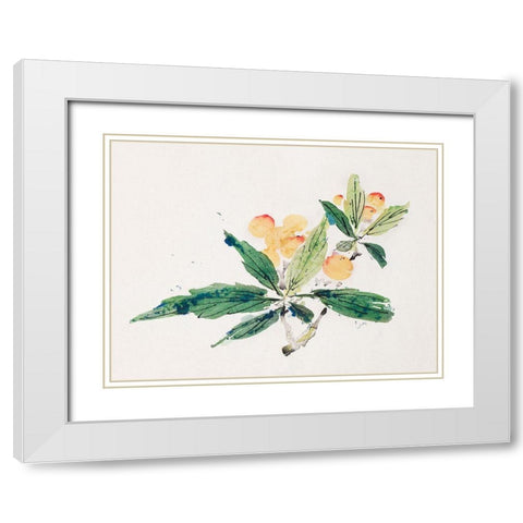 Page from Shi Zhu Zhai Gold and Red Fruit White Modern Wood Framed Art Print with Double Matting by Zhengyan, Hu