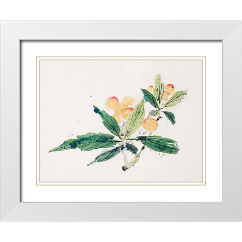 Page from Shi Zhu Zhai Gold and Red Fruit White Modern Wood Framed Art Print with Double Matting by Zhengyan, Hu