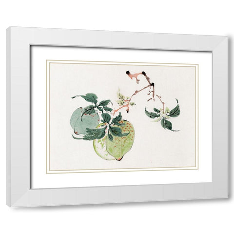 Page from Shi Zhu Zhai Green Fruit White Modern Wood Framed Art Print with Double Matting by Zhengyan, Hu