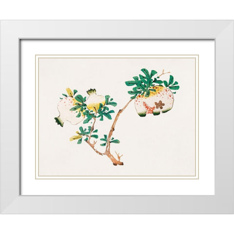 Page from Shi Zhu Zhai Pomegranite White Modern Wood Framed Art Print with Double Matting by Zhengyan, Hu