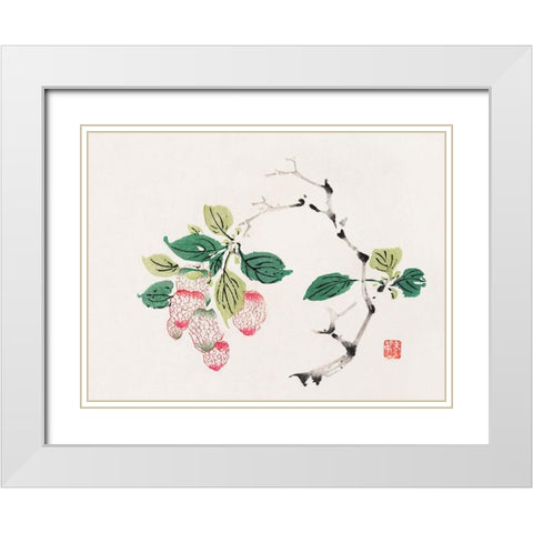 Page from Shi Zhu Zhai Red Fruit Bunch White Modern Wood Framed Art Print with Double Matting by Zhengyan, Hu