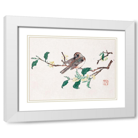 Page from Shi Zhu Zhai Preening Bird White Modern Wood Framed Art Print with Double Matting by Zhengyan, Hu