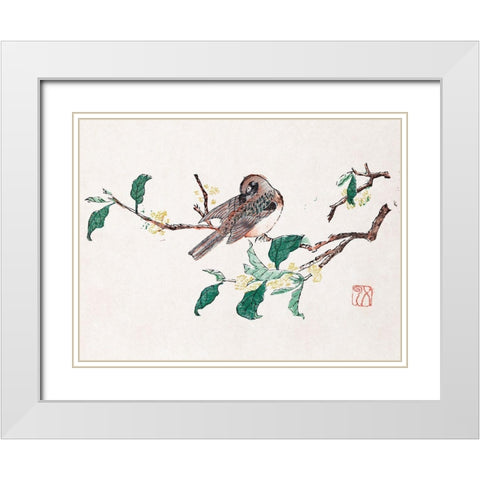Page from Shi Zhu Zhai Preening Bird White Modern Wood Framed Art Print with Double Matting by Zhengyan, Hu