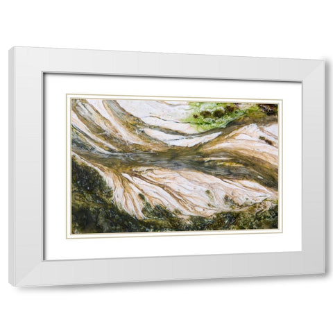 Colorful Bacteria at Mammoth Hot Springs, Yellowstone National Park White Modern Wood Framed Art Print with Double Matting by The Yellowstone Collection