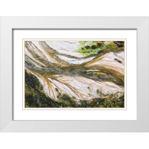 Colorful Bacteria at Mammoth Hot Springs, Yellowstone National Park White Modern Wood Framed Art Print with Double Matting by The Yellowstone Collection