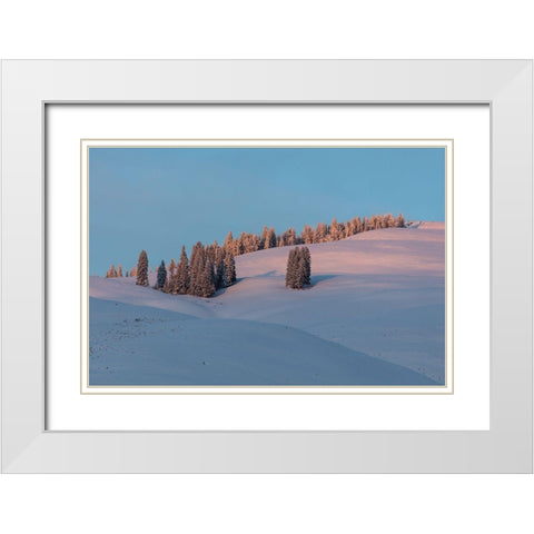 Last Light on Flanks of Bison Peak, Yellowstone National Park White Modern Wood Framed Art Print with Double Matting by The Yellowstone Collection
