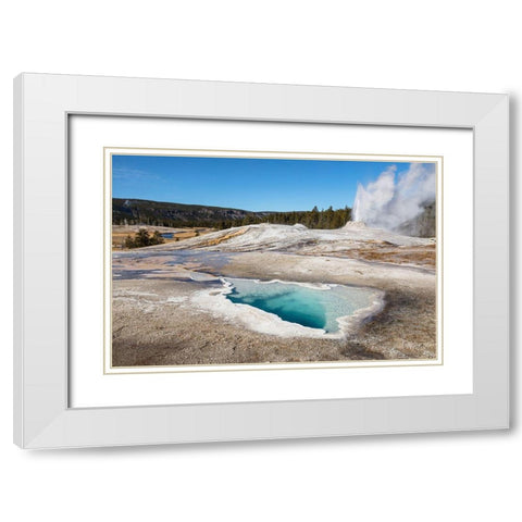 Lion Geyser and Heart Spring, Yellowstone National Park White Modern Wood Framed Art Print with Double Matting by The Yellowstone Collection