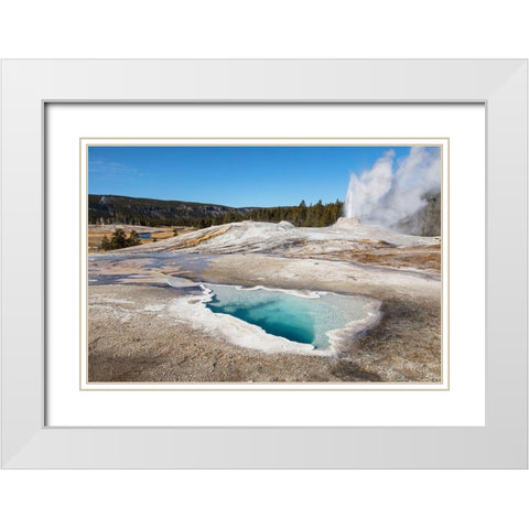 Lion Geyser and Heart Spring, Yellowstone National Park White Modern Wood Framed Art Print with Double Matting by The Yellowstone Collection