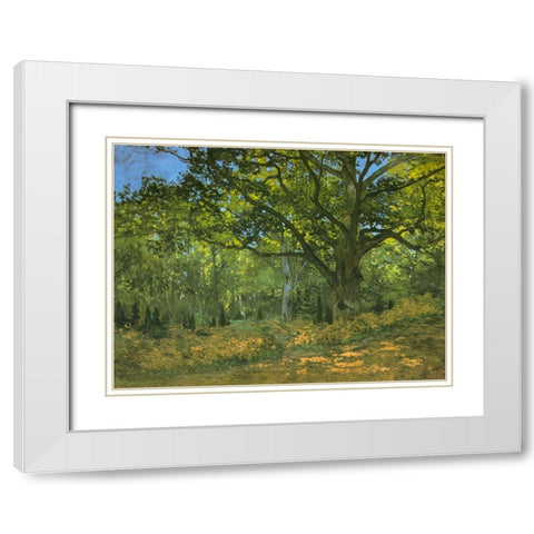 Bodmer Oak at Bas-Breau 1865 White Modern Wood Framed Art Print with Double Matting by Monet, Claude