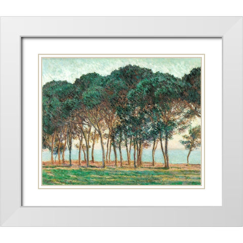Umbrella Pines-Antibes 1888 White Modern Wood Framed Art Print with Double Matting by Monet, Claude