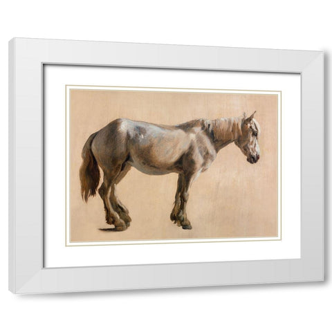 Study of a Grey Horse 1800 White Modern Wood Framed Art Print with Double Matting by Agasse, Jacques-Laurent