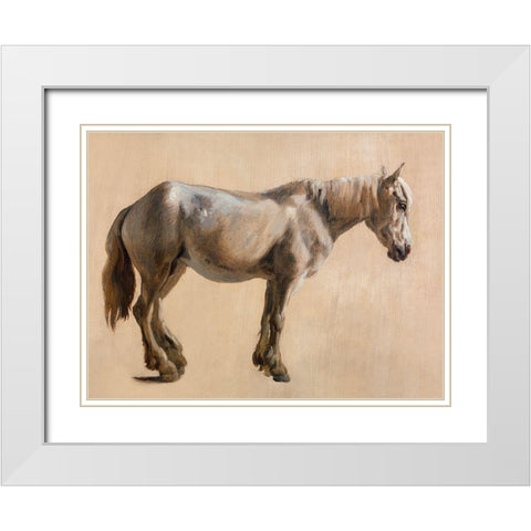 Study of a Grey Horse 1800 White Modern Wood Framed Art Print with Double Matting by Agasse, Jacques-Laurent