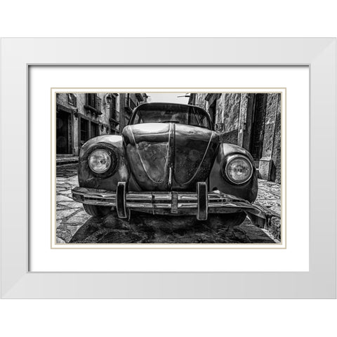 Hangin in There White Modern Wood Framed Art Print with Double Matting by Vintage Photo Archive