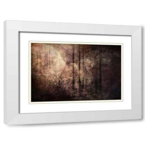 Wood between the Worlds White Modern Wood Framed Art Print with Double Matting by Alpenglow Workshop