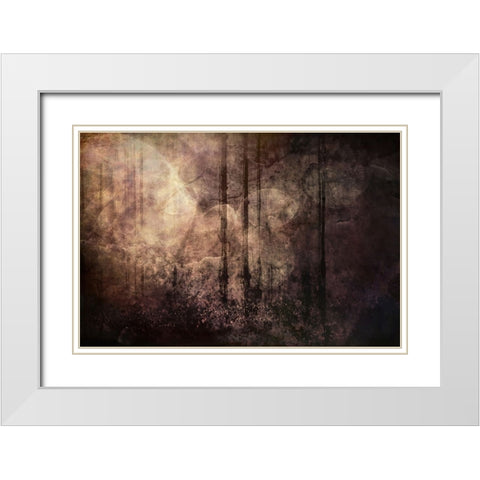 Wood between the Worlds White Modern Wood Framed Art Print with Double Matting by Alpenglow Workshop