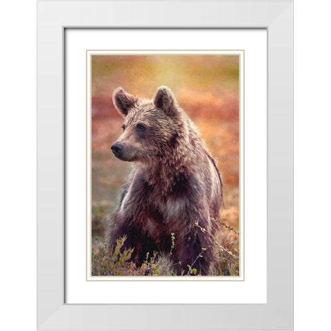 Brown Bear White Modern Wood Framed Art Print with Double Matting by Alpenglow Workshop